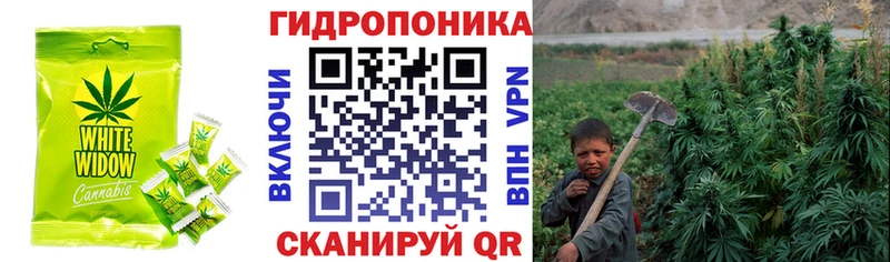 Cannafood марихуана Демидов