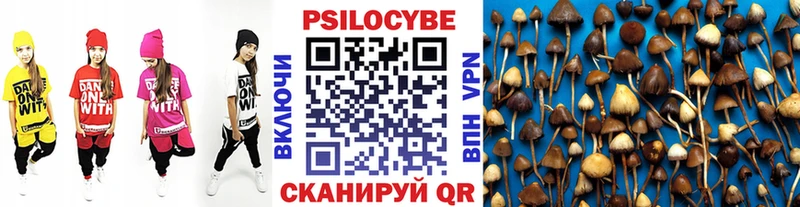 Псилоцибиновые грибы Magic Shrooms  даркнет сайт  Демидов 